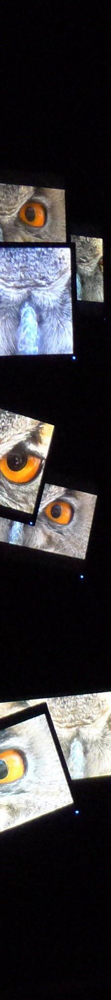 Kunstwerk Carlshutte-比德尔斯多夫