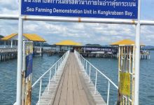 Sea Farming Demonstration Unit景点图片