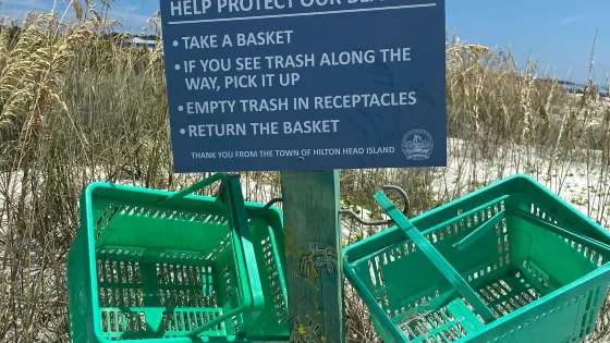 Burkes Beach