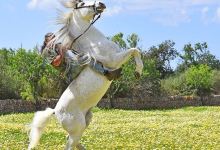Rancho Jaume景点图片