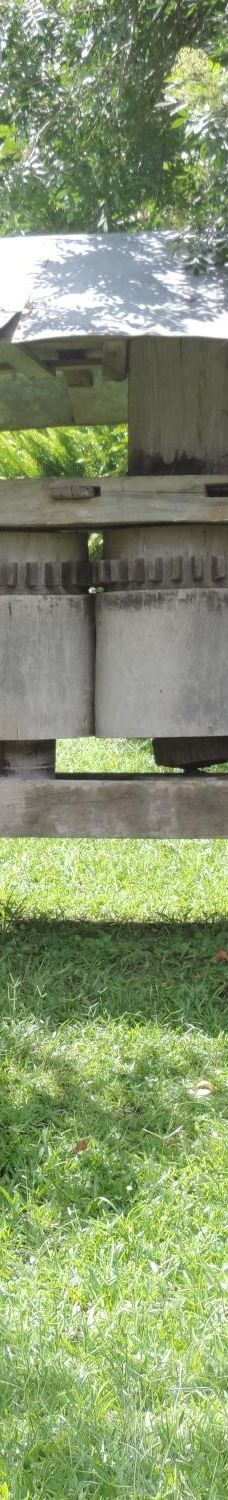 Parque Historico Jorge Kuhn-皮卡达卡夫