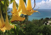 Арт-усадьба "Ландора"景点图片