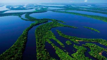 Anavilhanas National Park