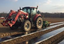 Von Thun's Country Farm Market购物图片