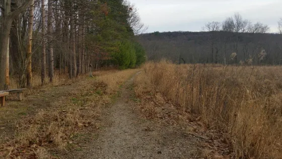 Goose Pond Mountain State Park