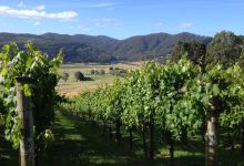 Leven Valley Vineyard景点图片