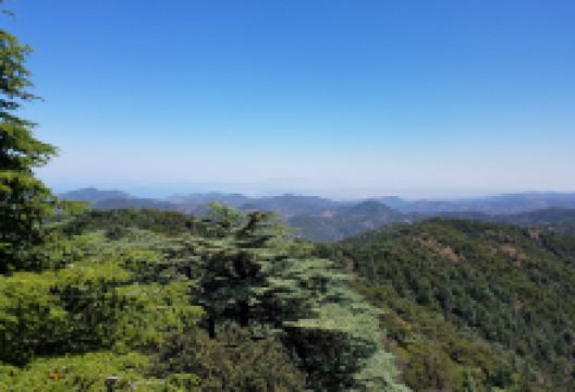 Cedar Valley景点图片