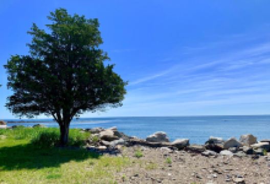 North Beach景点图片