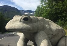Paddeland景点图片