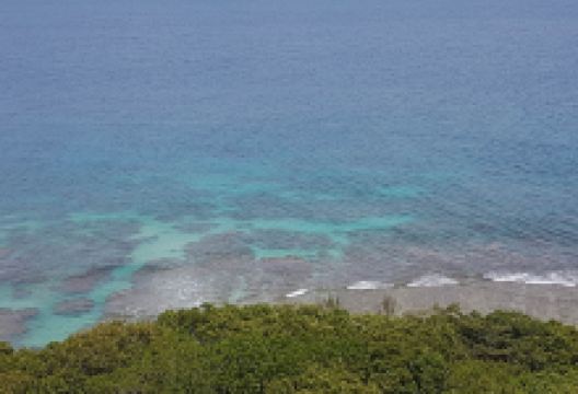 Phare de l'Ile aux Prunes景点图片