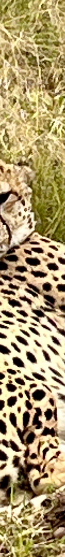 Adventure Africa Expedition-内罗毕