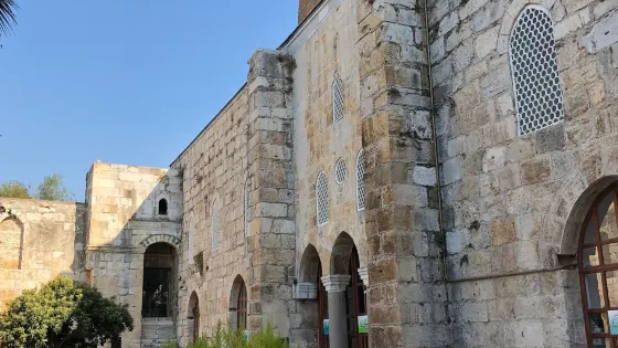 Isabey CAMii