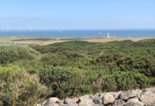 Tullos Hill景点图片