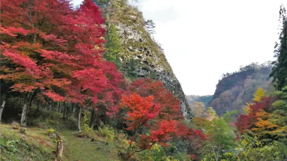 古巖屋