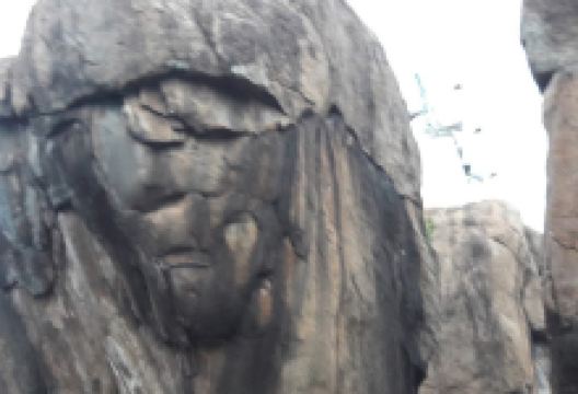 Sri Nava Narasimhar Temple景点图片
