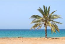 Dibba Beach景点图片