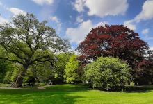 Park Hartenstein景点图片