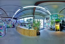 Jungle Paradise购物图片