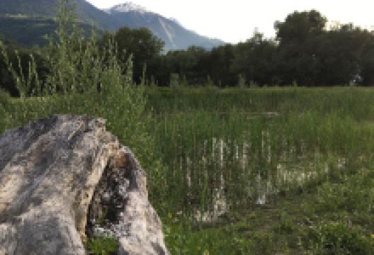 Stilli Gillu - Stiller See景点图片