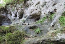 Höhle Eulenloch景点图片