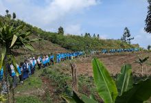 Wisata Edukasi Pabrik Teh CIATER景点图片