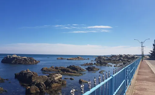 南涯海水浴場