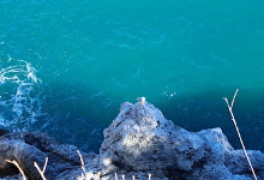 Area Marina Protetta Isola di Bergeggi景点图片