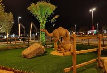Moreeb Dunes Park景点图片