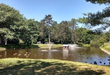 Kingston Family Fitness Trail景点图片