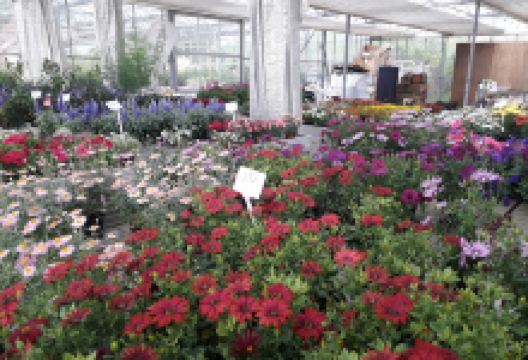 Vestrup Havecenter购物图片