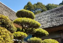 桑原家住宅景点图片