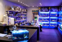 The Aquarium Liverpool购物图片