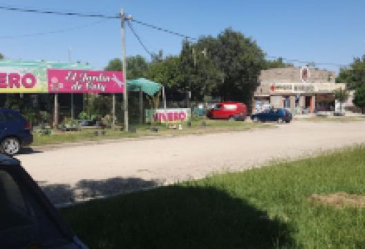 Vivero el Jardin de Coty购物图片