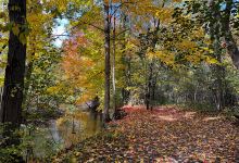 Grand Blanc Commons景点图片