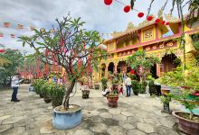 Chùa Long Hoa景点图片