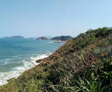 Naufragados Beach