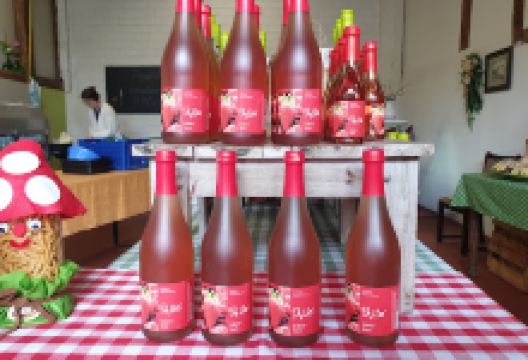 Spargelhof Richter景点图片