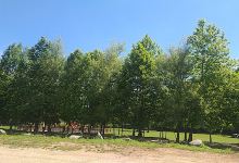 Parque de Merendas da Cidade de Lourosa景点图片