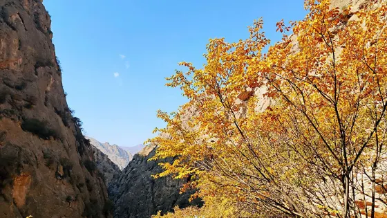 中衛寺口風景區-東景區