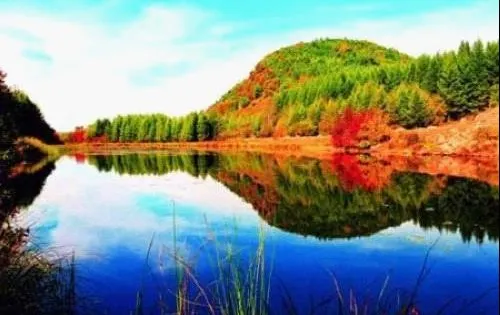 東方紅濕地國家級自然保護區