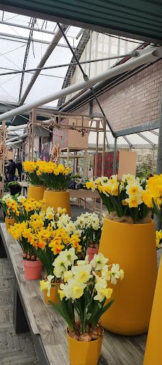 Willem - Alexander Pavilion-利瑟