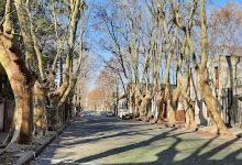 Colonia Sign景点图片
