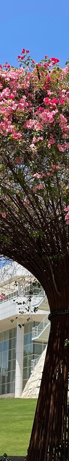 盖蒂中心-洛杉矶