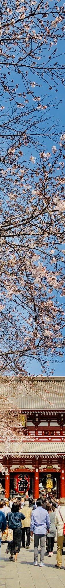 浅草寺雷门-东京