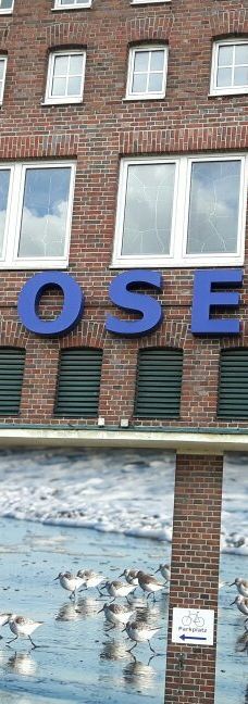 Seehundstation und Waloseum-诺德代希