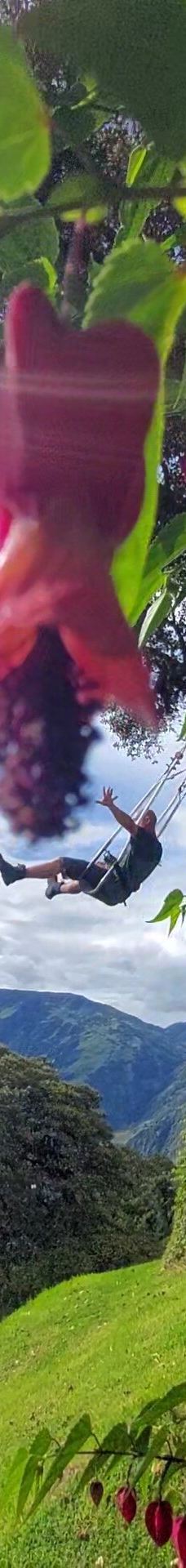 La Casa del Arbol-巴尼奥斯县