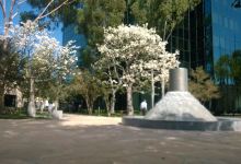 California Scenario景点图片