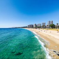 比尼亚德尔马图片