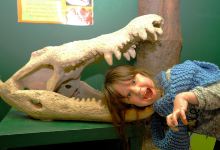 Torquays Dinosaur World景点图片