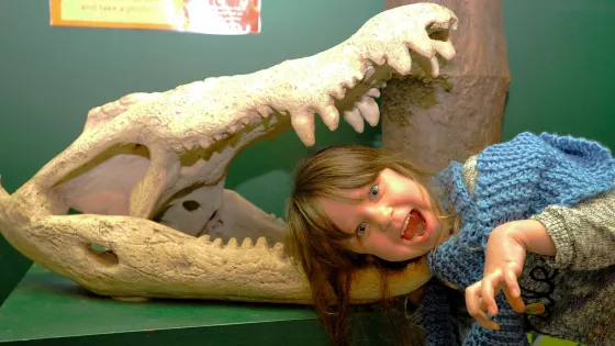 Torquays Dinosaur World